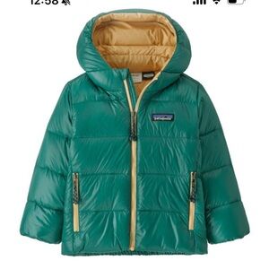 Patagonia Infant Hi-Loft Down Jacket - Teal with Gold Zippers